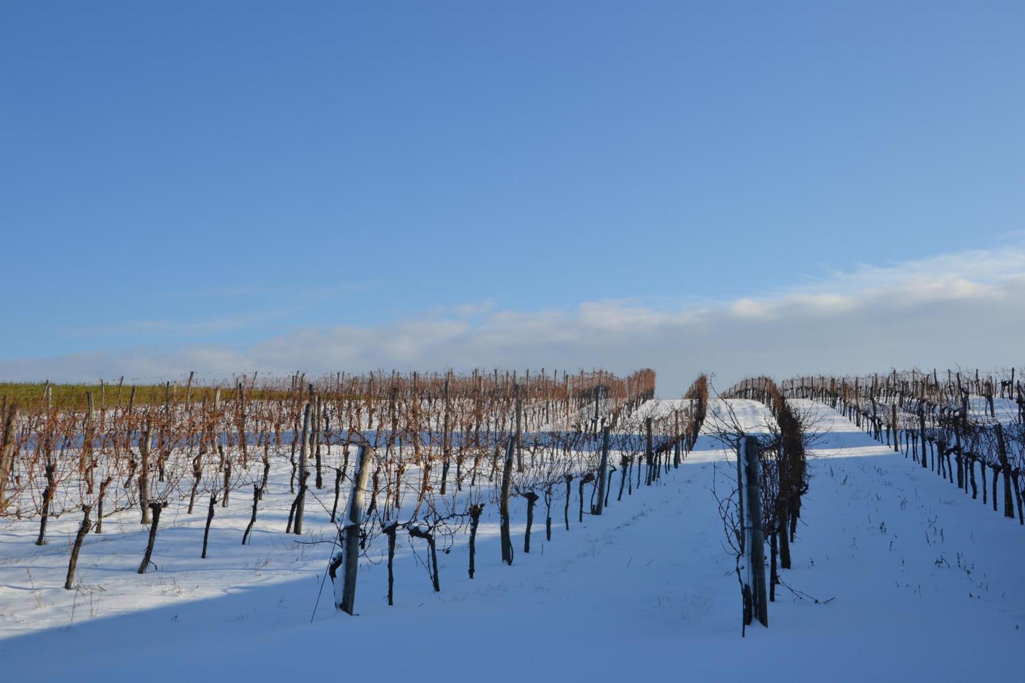 Wein + Bett Wiedeck Stetten Exterior photo